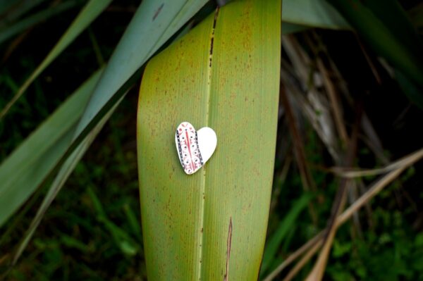 porcelain brooch with New Zealand symbols