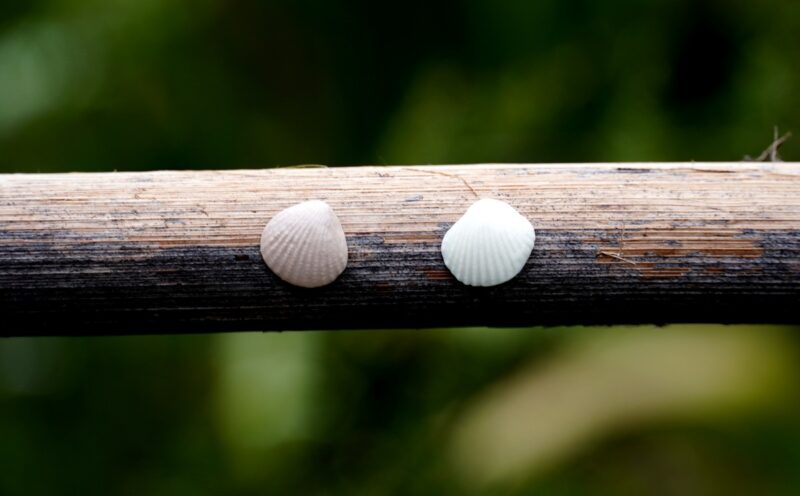 Each piece is handmade from porcelain clay and fired twice or three times in the kiln around 1200 degrees. Pottery is my passion and I love to discover new techniques, glazes, oxides or materials to play with and make extraordinary high quality jewellery. I also use hypoallergenic stainless steel and silver studs/hooks.